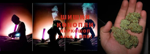 метадон Алексин