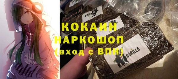 метадон Алексин