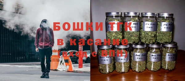 сатива Алексеевка
