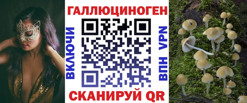 Псилоцибиновые грибы Psilocybe  Электрогорск 